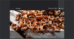 Desktop Screenshot of inasoapnutshell.com