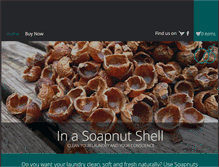 Tablet Screenshot of inasoapnutshell.com